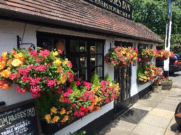 Major Plants Ltd - Compasses Inn - London - UK - Image 1