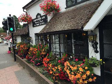 Major Plants Ltd - Compasses Inn - London - UK - Image 2