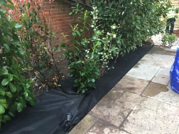 Major Plants Ltd - Decorating Bark - London - UK - Image 