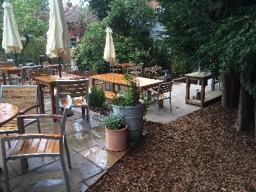 Major Plants Ltd - Decorating Bark - London - UK - Image 2