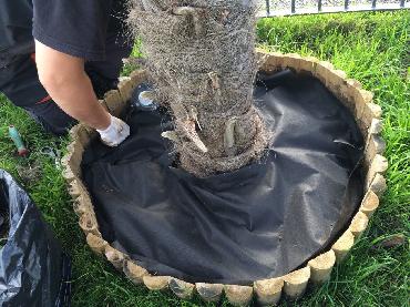 Major Plants Ltd - Decorating Bark - London - UK - Image 6