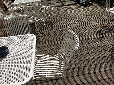 Major Plants Ltd - Duchess garden - London - UK - Image 4