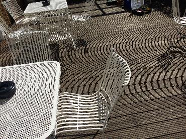 Major Plants Ltd - Duchess garden - London - UK - Image 6