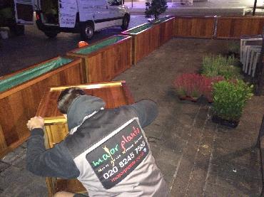 Major Plants Ltd - Gökyüzü Woodgreen - London - UK - Image 2