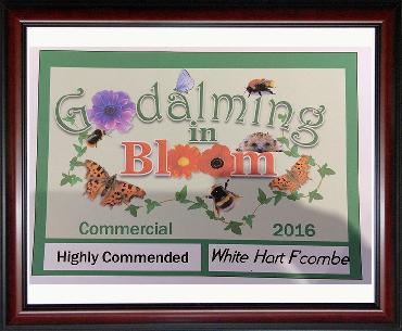 Major Plants Ltd - Hanging Basket Service Awards - London - UK - Image 2