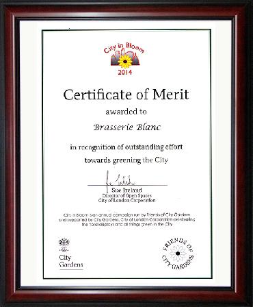 Major Plants Ltd - Hanging Basket Service Awards - London - UK - Image 5