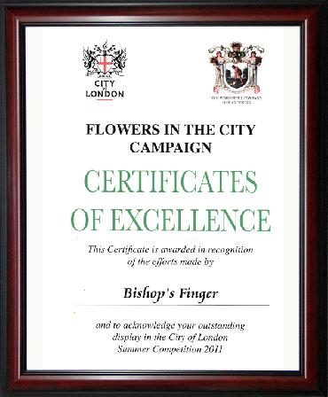Major Plants Ltd - Hanging Basket Service Awards - London - UK - Image 12