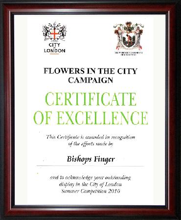 Major Plants Ltd - Hanging Basket Service Awards - London - UK - Image 14