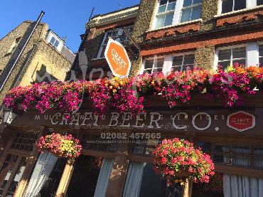 Major Plants Ltd - Hanging Basket Services - London - UK - Image 12