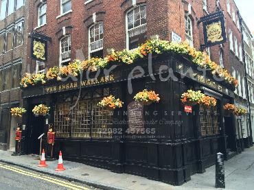Major Plants Ltd - Hanging Basket Services - London - UK - Image 35