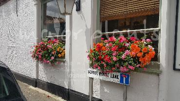 Major Plants Ltd - Hanging Basket Services - London - UK - Image 37