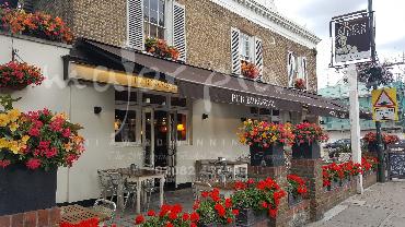 Major Plants Ltd - Hanging Basket Services - London - UK - Image 40