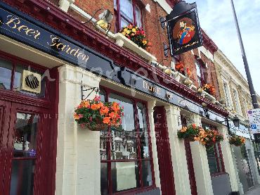 Major Plants Ltd - Hanging Basket Services - London - UK - Image 55