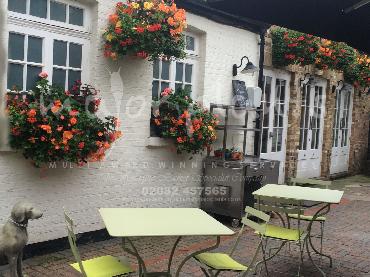 Major Plants Ltd - Hanging Basket Services - London - UK - Image 68