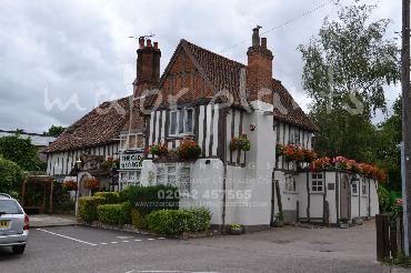 Major Plants Ltd - Hanging Basket Services - London - UK - Image 74