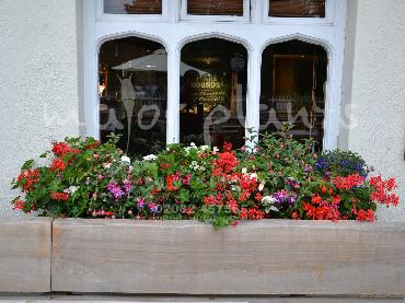 Major Plants Ltd - Hanging Basket Services - London - UK - Image 93