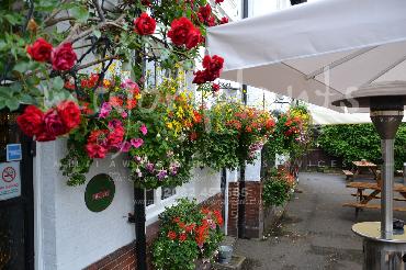 Major Plants Ltd - Hanging Basket Services - London - UK - Image 112