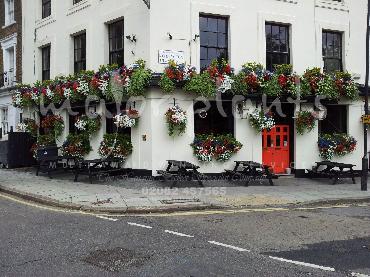 Major Plants Ltd - Hanging Basket Services - London - UK - Image 123
