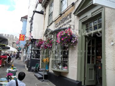 Major Plants Ltd - Hanging Basket Services - London - UK - Image 137
