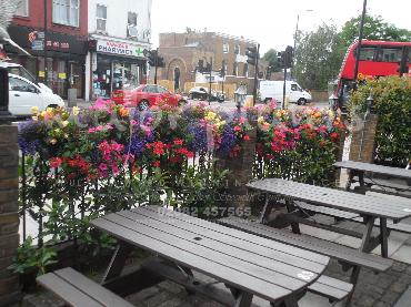 Major Plants Ltd - Hanging Basket Services - London - UK - Image 140