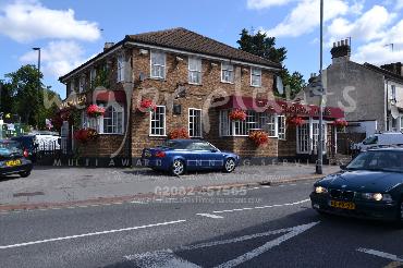 Major Plants Ltd - Hanging Basket Services - London - UK - Image 174