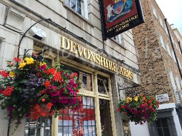 Major Plants Ltd - Hanging Basket Services - London - UK - Image 181