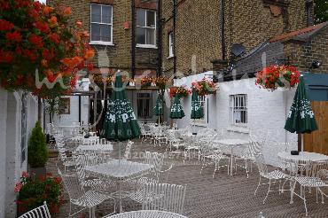 Major Plants Ltd - Hanging Basket Services - London - UK - Image 183