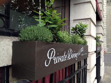 Major Plants Ltd - Herb Displays - London - UK - Image 13
