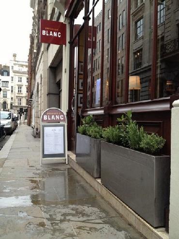 Major Plants Ltd - Herb Displays - London - UK - Image 25