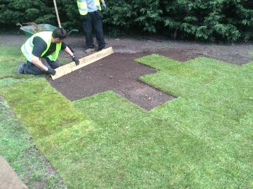 Major Plants Ltd - Lawn - London - UK - Image 