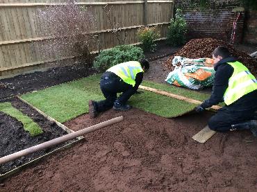 Major Plants Ltd - Lawn - London - UK - Image 1