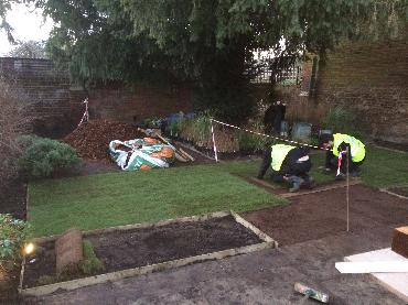 Major Plants Ltd - Lawn - London - UK - Image 5