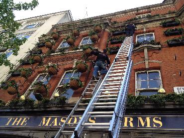 Major Plants Ltd - Masons Arms - London - UK - Image 10