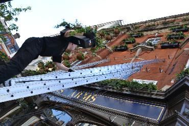 Major Plants Ltd - Masons Arms - London - UK - Image 11