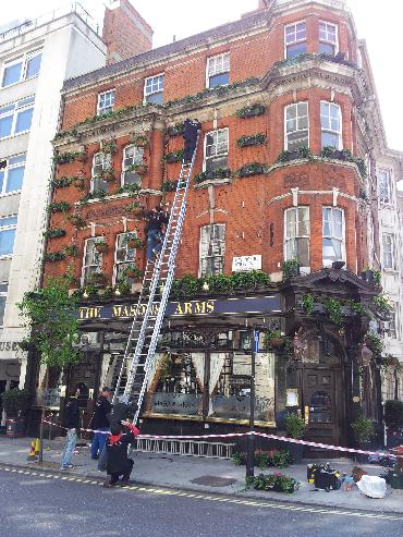 Major Plants Ltd - Masons Arms - London - UK - Image 15