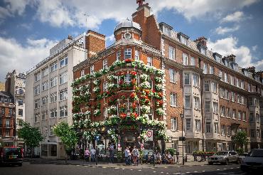 Major Plants Ltd - Masons Arms - London - UK - Image 17