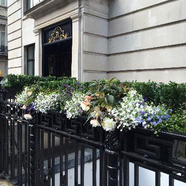 Major Plants Ltd - Metal Planters - London - UK - Image 7