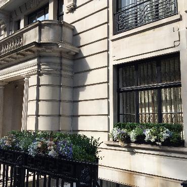 Major Plants Ltd - Metal Planters - London - UK - Image 8