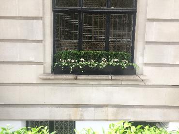 Major Plants Ltd - Metal Planters - London - UK - Image 10