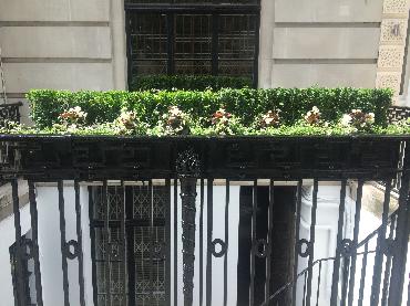 Major Plants Ltd - Metal Planters - London - UK - Image 12