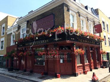 Major Plants Ltd - Our Customers - London - UK - Image 1