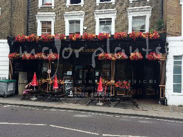 Major Plants Ltd - Our Customers - London - UK - Image 2