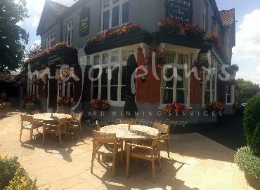 Major Plants Ltd - Our Customers - London - UK - Image 3