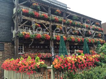 Major Plants Ltd - Our Customers - London - UK - Image 5