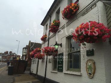 Major Plants Ltd - Our Customers - London - UK - Image 7