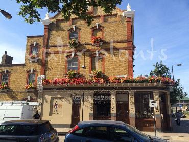 Major Plants Ltd - Our Customers - London - UK - Image 10