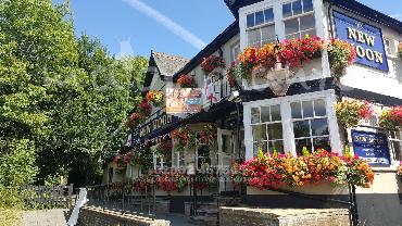 Major Plants Ltd - Our Customers - London - UK - Image 12