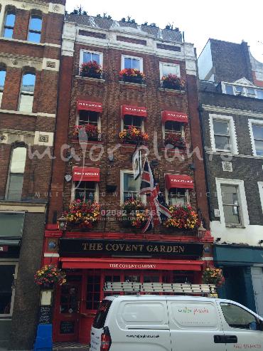 Major Plants Ltd - Our Customers - London - UK - Image 21