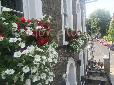 Major Plants Ltd - Our Customers - London - UK - Image 25