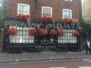 Major Plants Ltd - Our Customers - London - UK - Image 26